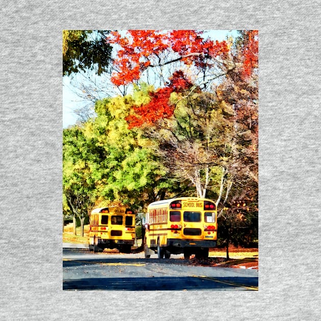 Teachers - Parked School Buses by SusanSavad